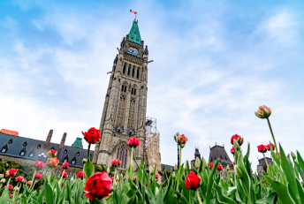 Languages Canada Advocacy Tour Advances Key Policy Priorities
